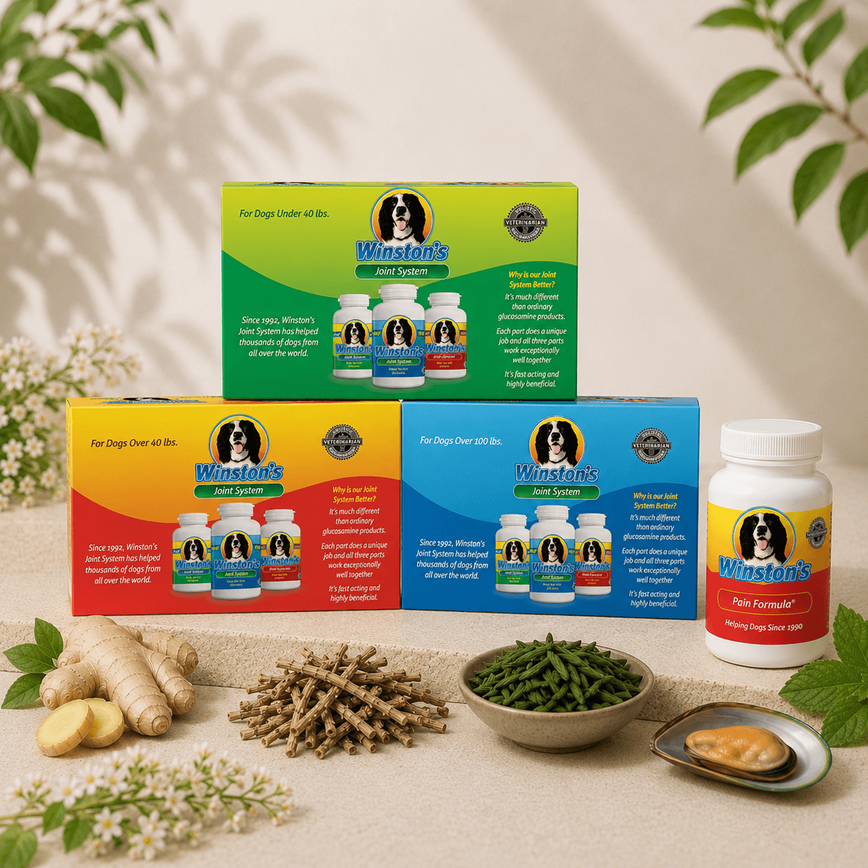 Winston's Supplements — Dermagic category