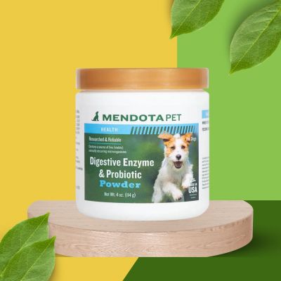 Retrieve Enzymes, Food & Allergy Relief - 4 oz.